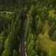 Car On The Road In The Forest - VideoHive Item for Sale