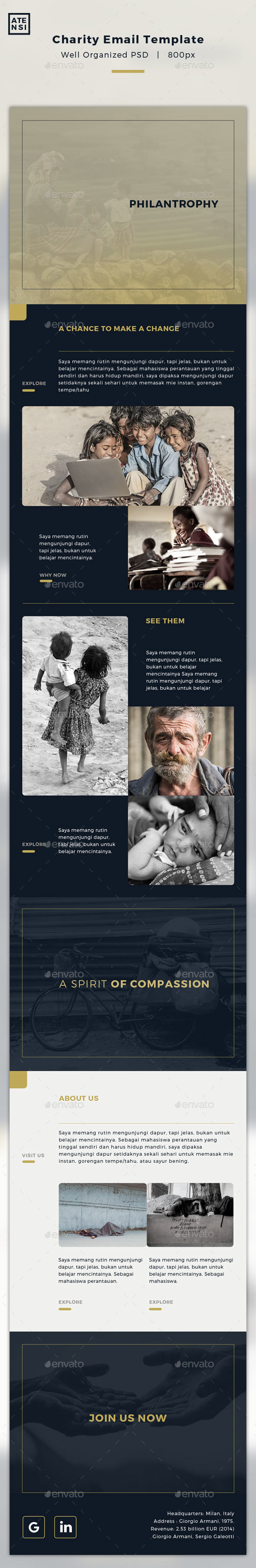 Charity Email Template - E-newsletters Web Elements