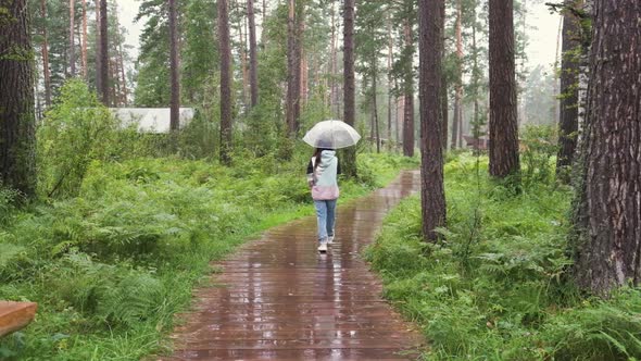a Young Woman Walks Through the Woods in the Rain with an Umbrella. Attractive Brunette Walks in the alt