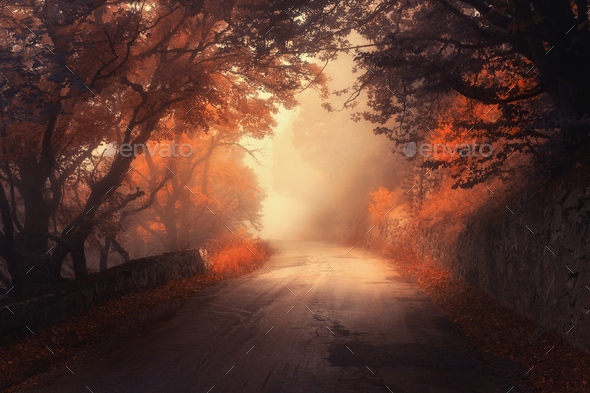 Mystical autumn red forest with road in fog - Stock Photo - Images