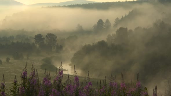 Fog Over River in Mountains at Dawn alt