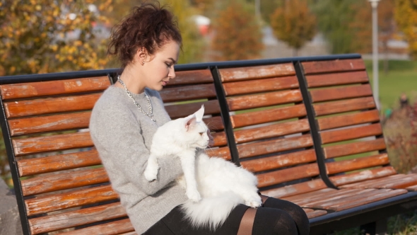 Young Lady With Maine Coon Cat