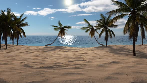 Travel on a tropical island with palm trees in the sea. Landscape beach with palm trees and ocean.