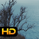 Coast in Autumn - VideoHive Item for Sale