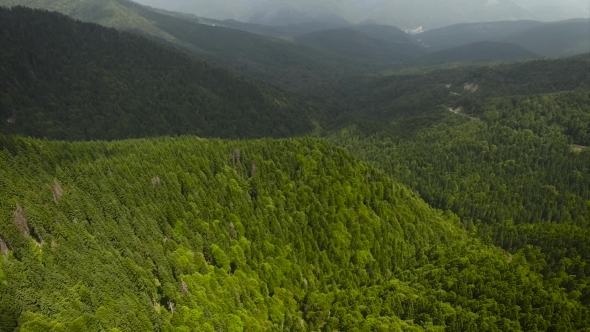Flying Over Big Forest Mountain