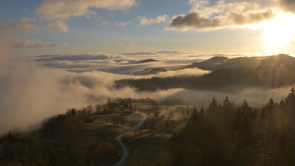 Sunrise Foggy Country Road