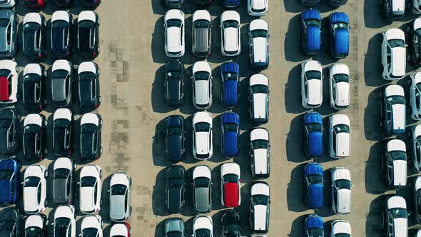 Closeup of Car Roofs in Car Factory Open Air Parking Lot. alt