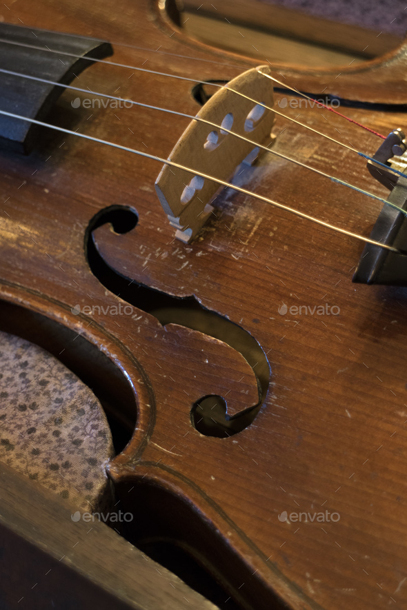 Old violins string bridge