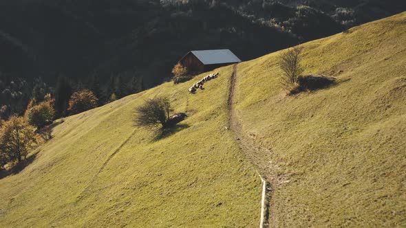 Rural Village at Mountain Ridges Aerial alt