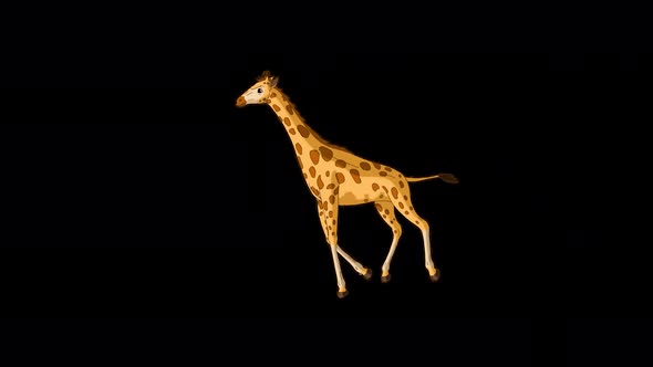 Big giraffe runs back and forth alpha matte long shot 4K