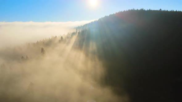 Aerial View of Amazing Scenery with Foggy Dark Mountain Forest Pine Trees at Autumn Sunrise alt