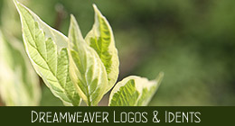 Dreamweaver Logos & Idents
