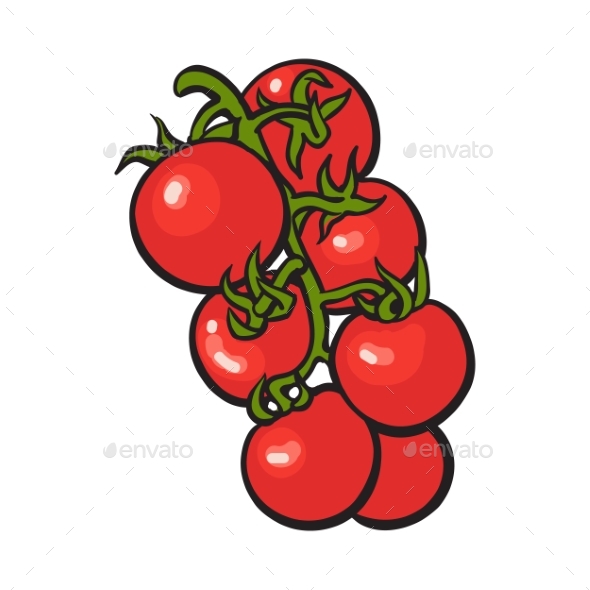 Sketch Style Drawing of Shiny Ripe Red Cherry - Food Objects