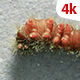 Living Caterpillar 654 - VideoHive Item for Sale