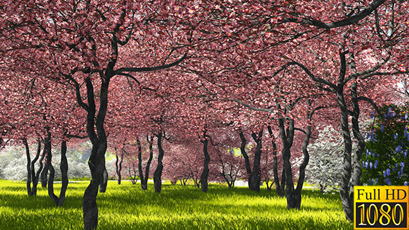 Sakura Park