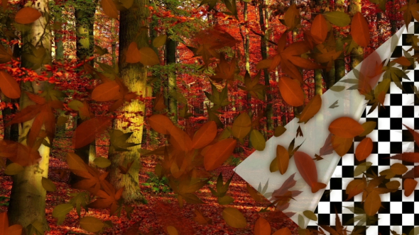 Autumn Falling Leaves Loop Pack