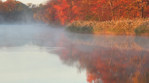 Autumn Mist On The River In Early alt