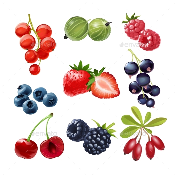 Set of Ripe Berries - Food Objects