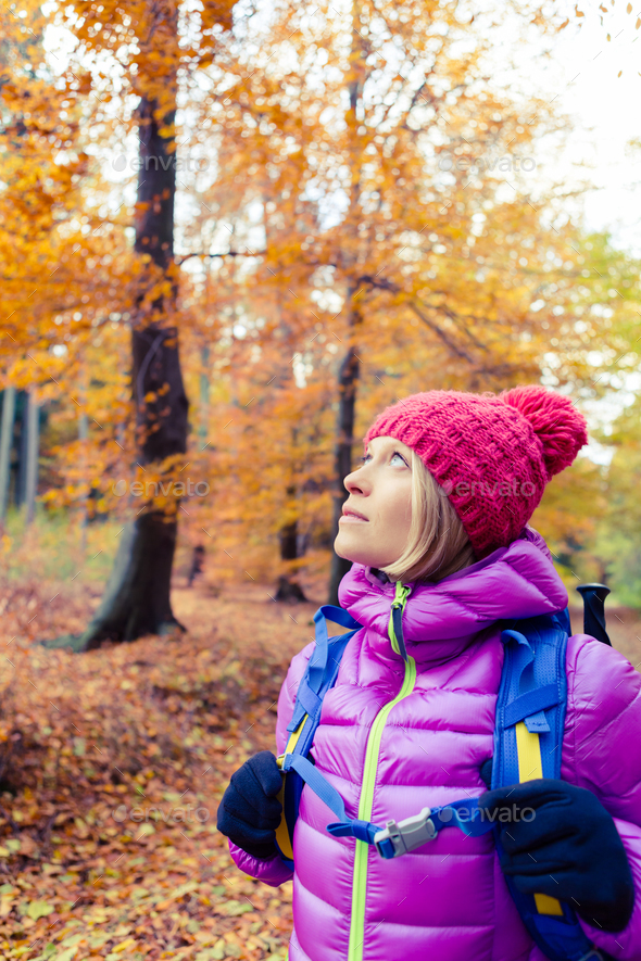 Hiking woman with backpack looking up at inspiring autumn trees - Stock Photo - Images