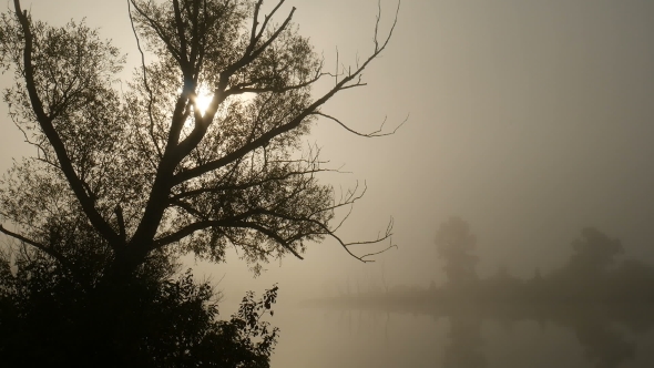 The Morning Smoke At Beautiful Sunrise alt