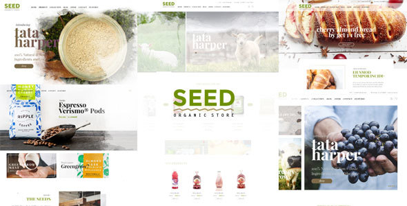 Seed - Organic - ThemeForest 18700288