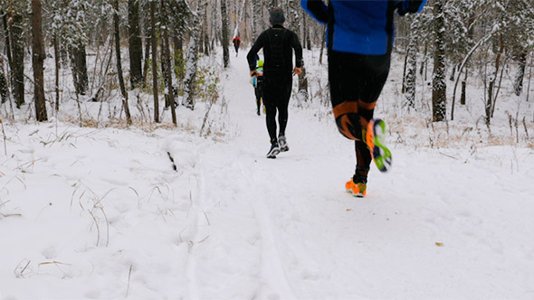 Group of Athletes Runners