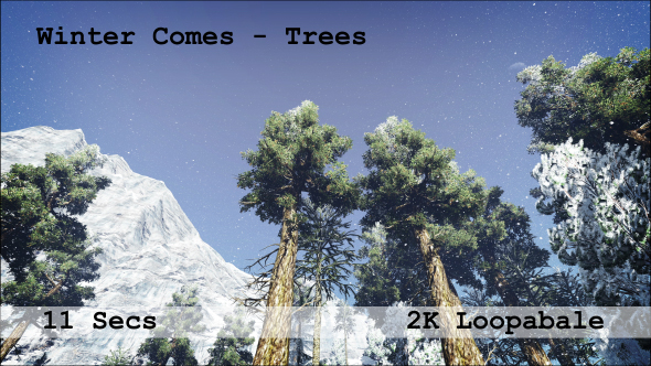 Winter Comes_Trees