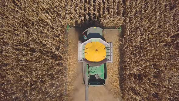 A Combine Harvester To Harvest Maize on the Field alt