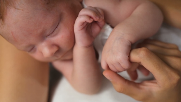 Baby Sleeps And Holds His Mother's Hand