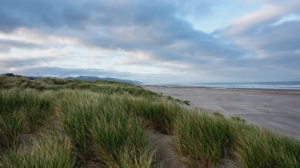 Sandy Beach And Grass On The Coast Of Oregon, Stock Footage | VideoHive