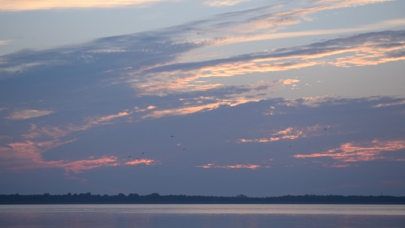 Birds Fly On Background Of Colorful Backlit Clouds