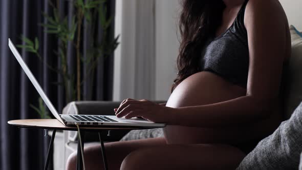 Close Up of a Pregnant Woman Working at Home with Laptop alt