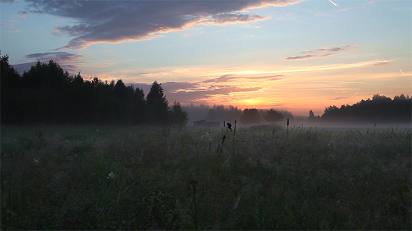 Sunrise in a Field