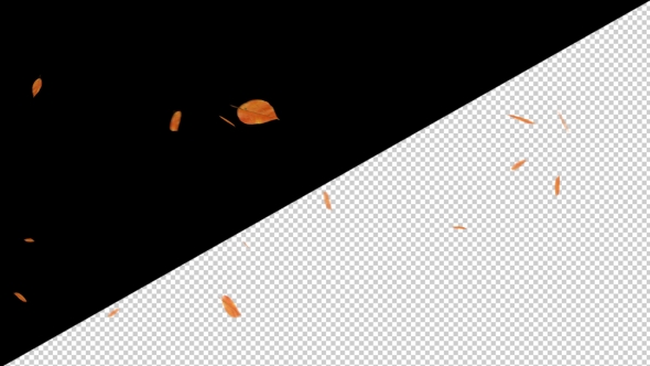 Falling Leaves With Alpha Channel
