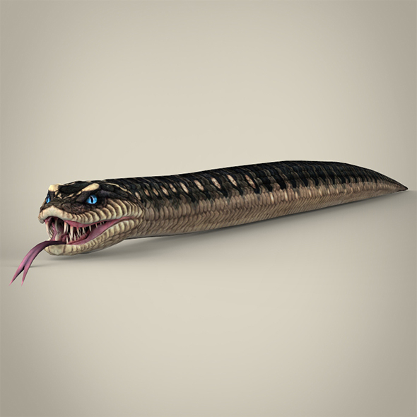 Fantasy Snake - 3Docean 18740312