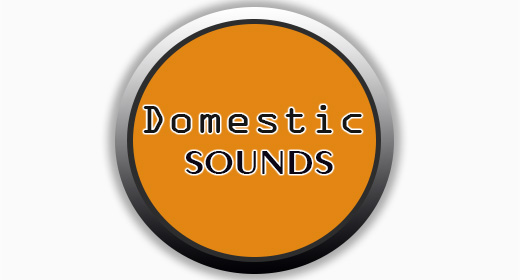 Domestic Sounds
