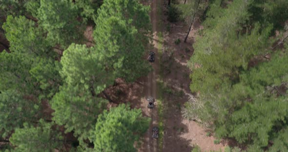 4K Top Down Drone Shot Tracking Quad Bikes Through Tsitsikamma forest, Eastern Cape, South Africa alt