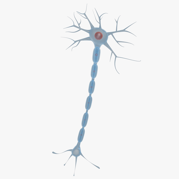 Neuron 01 - 3Docean 18748492
