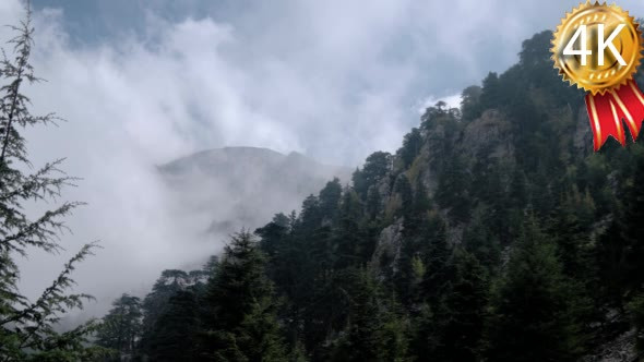 Cloudscape Time Lapse Over the Mountain Forest
