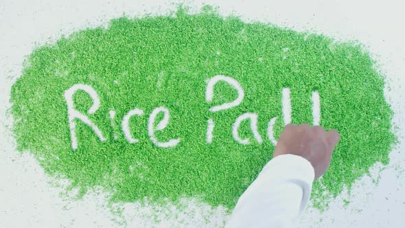 Green Hand Writing Rice Paddy