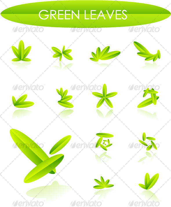 Leaves design elements - Nature Conceptual