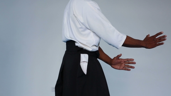 Martial Arts Master In Black Hakama