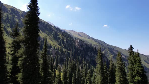A High Rock in Middle of the Forest in Mountains alt