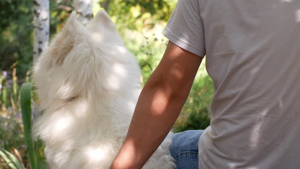 A man with a dog is sitting in the forest. The owner stroked his white dog. Samoyed Laika.