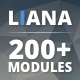 Liana - 200+ Modules - Responsive Email with Mailchimp Editor & StampReady Builder - ThemeForest Item for Sale
