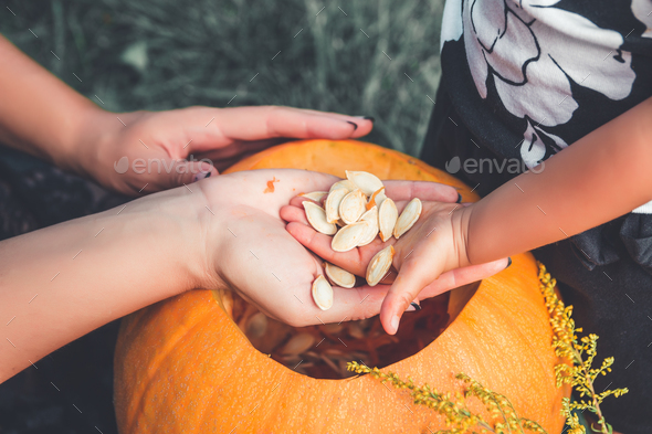 close up of woman's and child hands pulls seeds fibrous material from pumpkin - Stock Photo - Images