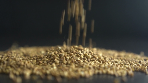 Pours Buckwheat Grain.