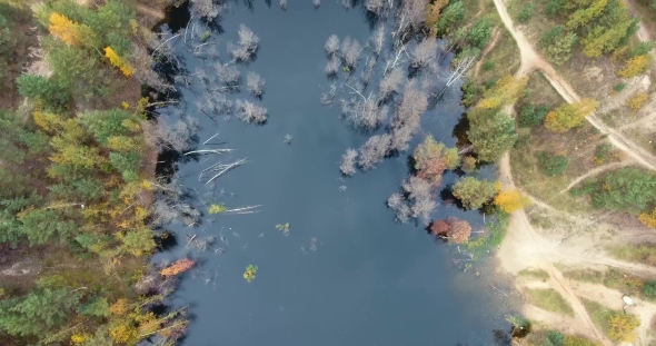 Drone Flying Over The Marshes And Rivers