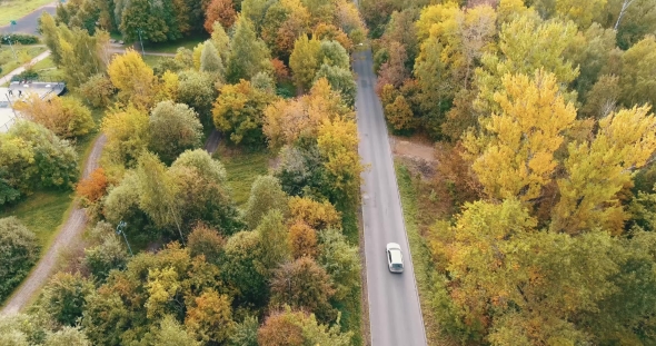 Aerial View. Flying Over The Road, Field And Beautiful Autumn Trees.
