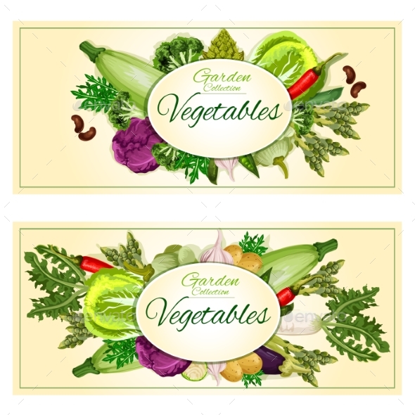 Garden Vegetables Vector Posters, Banners - Food Objects